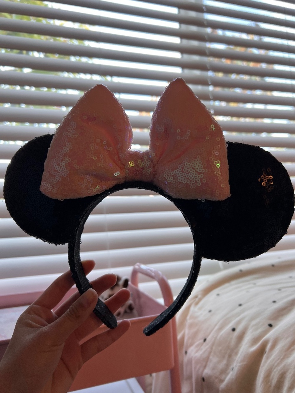 Disney Mickey Ears